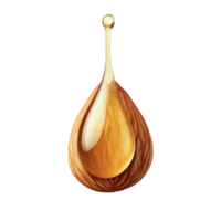 Almonds with a drop of oil isolated on a transparent background highlighting natural ingredients and health benefits, Almonds with an oil drop isolated on transparent background png