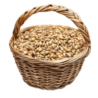 Barley grains in a wicker basket isolated on a transparent background showcasing their natural golden color, Barley Grains in the basketisolated on transparent background png