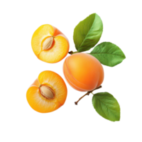 Fresh apricots isolated on a transparent background showcasing their vibrant color and natural beauty, apricotisolated on transparent background png