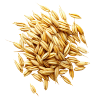 Barley grains in a scoop isolated against a transparent background highlighting their texture and color diversity, Barley Grains tn the scoopisolated on transparent background png