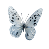 Delicate butterfly resting against a soft transparent background showcasing intricate wing patterns and natural beauty, 3D Butterfly on transparent background png