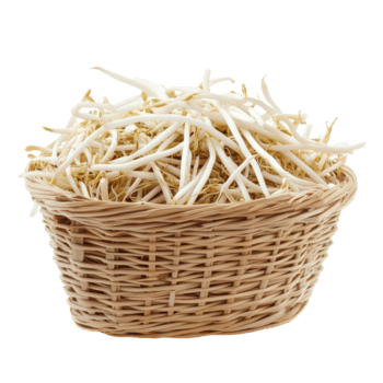 fresco fagiolo germogli nel un' intrecciata cestino, isolato contro un' trasparente sfondo per culinario uso e presentazione, fagiolo germogli nel cestino isolato su trasparente sfondo png