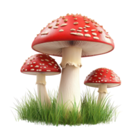 Realistic red fly agaric mushrooms growing amidst lush green grass in a natural setting during bright daylight, 3d realistic red fly agaric mushrooms in the grass, transparent background. png
