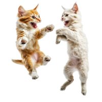 A playful dog and cat leap joyfully together against a bright transparent background during a spirited moment of fun, A playful dog and cat jumping in sync, transparent background. png
