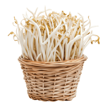 Fresco frijol coles en un tejido cesta desplegado en contra un transparente antecedentes para culinario usar, frijol coles en cesta aislado en transparente antecedentes png