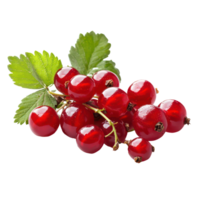 Fresh Bengal currants with green leaves displayed against a clean transparent background, emphasizing their vibrant color, Bengal Currant on transparent background png