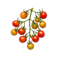Fresh cherry tomatoes clustered on a green vine against a clean, transparent background in natural light, A cherry tomatoes displayed against a transparent background png