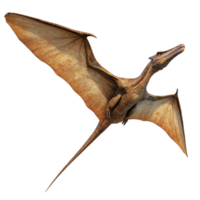 A pterodactyl soaring through the sky with its wings fully extended against a transparent background, a flying pterodactyl, dinosaur, transparent background. png