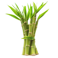 Fresh bamboo sprouts sliced and presented on a clean transparent background highlighting their natural texture and color, Bamboo Sprouts slice isolated on transparent background png