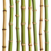 Sections of bamboo wood stalks arranged in a vertical layout isolated against a clean transparent background, bamboo wood stalks, sections, isolated on transparent background png