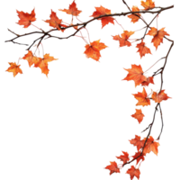 Autumn maple branch with vibrant red and orange leaves against a clean transparent background, autumn maple branch leaves corner edge transparent background png