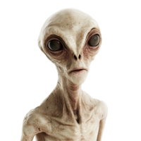 Intriguing extraterrestrial being stands on a transparent background, captivating viewers with its unique appearance, Beautiful Alien - Extraterrestrial Being on transparent background png