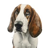 Artistic representation of a basset hound with striking facial features against a clean transparent background, Bas Hound, transparent background. png