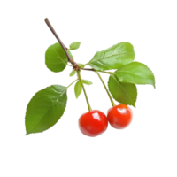 Fresh Barbados cherry with green leaves isolated on a transparent background showcasing its vibrant red color, Barbados cherry isolated on transparent background png