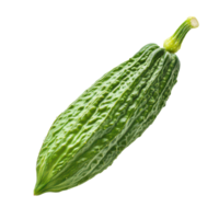 Fresh bitter gourd isolated against a transparent background, showcasing its unique texture and vibrant green color, Bitter gourd isolated on transparent background png
