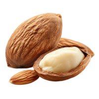 Almond seeds resting on a transparent background showcasing their texture and natural colors, Almonds seedsisolated on transparent background png