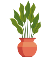 plantas suculento vegetação png