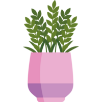 plantas suculento dentro Rosa Panela png