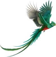 Brilliant Resplendent Quetzal Shines Brightly in Colorful Glory. . png