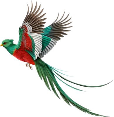 Majestic Resplendent Quetzal Charms with Brilliant Feather