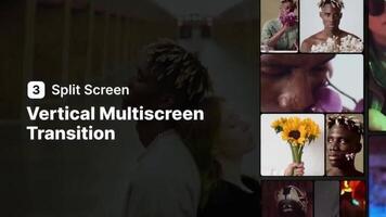 verticaal meerdere schermen overgang - 3 spleet scherm motion_graphic