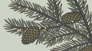 A pine branch with cones and needles vector
