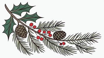 Christmas garland of evergreen tree pine and holly berries and cones on isolated white background vector