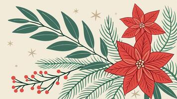 Christmas background with poinsettia flowers and fir branches vector