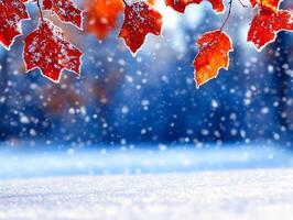 A bunch of red leaves that are hanging from a tree branch photo