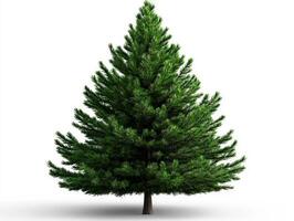 A small green christmas tree on a white background photo