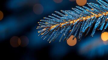 A close up of a blue and gold christmas tree branch photo