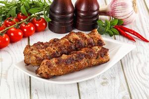 Chicken kebab minced meat and spices photo