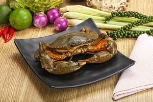 Delicous fresh raw uncooked crab photo
