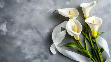 A serene funeral lily on a gray background with space for text, perfect for a memorial service announcement or sympathy card, offering a thoughtful and respectful tribute. photo