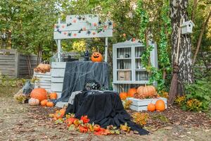 Beautiful autumn Halloween location photo