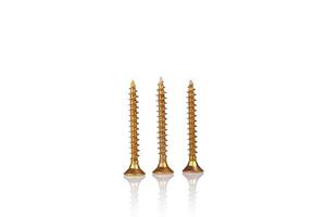 macro screw of golden color on a white background photo