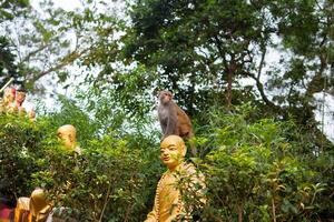 Portrait of monkey sitting on head statue of monk photo