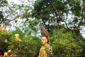 Portrait of monkey sitting on head statue of monk photo