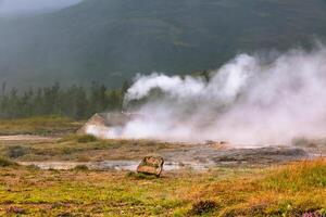 Smidur Geyser at Iceland Geysers Valley photo