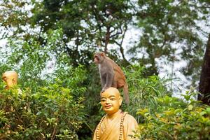 Portrait of monkey sitting on head statue of monk photo