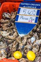 Oysters market in Cancale, France photo