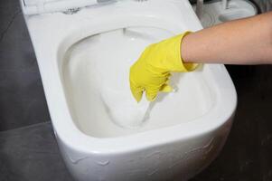 Washing and cleaning the toilet with a brush and detergent to remove dirt, limescale and urinary stone. Cleaning company services photo