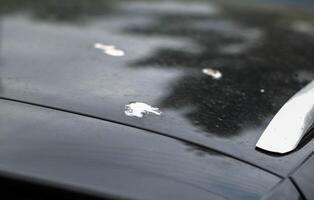 Bird droppings on the paintwork of a gray car. Concept of paint corrosion, damage, close-up photo