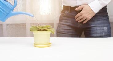 A man watering a flower from a watering can concept of urinary incontinence, prostatitis, pyelonephritis and urological diseases, copy space photo