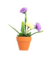 A pot with artificial flowers of purple and yellow chrysanthemums on a white background, isolate photo