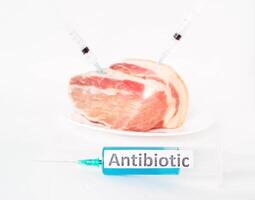 On a white plate a piece of pork in which a syringe is injected with an antibiotic and hormones, a white background photo