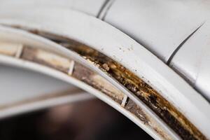 Dirt, mildew and mold in the hatch seals of the washing machine. Unsanitary and unpleasant smell. Cleaning and repairing stains in the washing machine, close-up photo