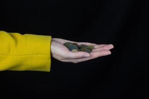 female hand in a yellow jacket holds a handful of coins, a black background photo