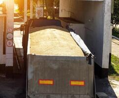 The truck loaded with grain grabs the scales, for further grain unloading, granule photo