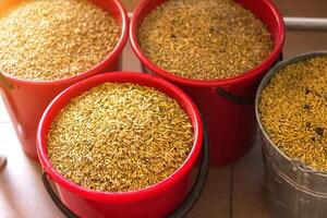Several full buckets stand with grain, oats granule photo